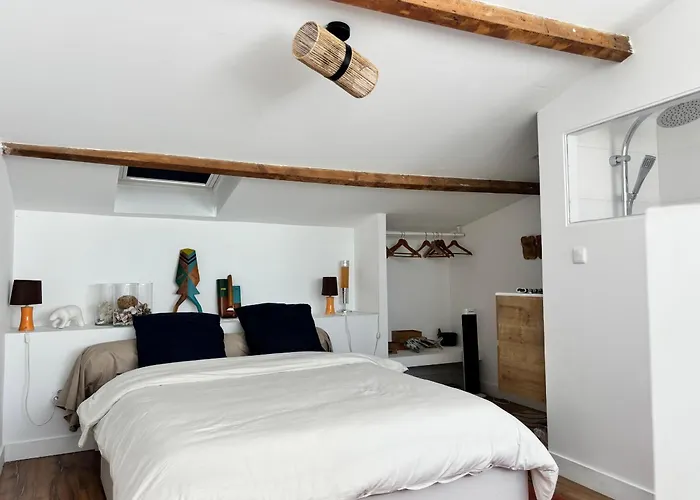 Maison De Charme De 280m2 Avec Piscine Chauffee … * Luçon